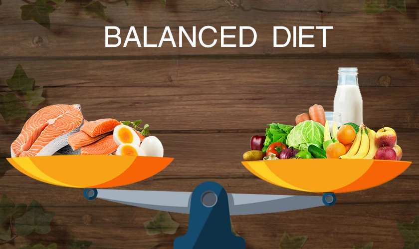 Importance of a Well-Balanced Diet